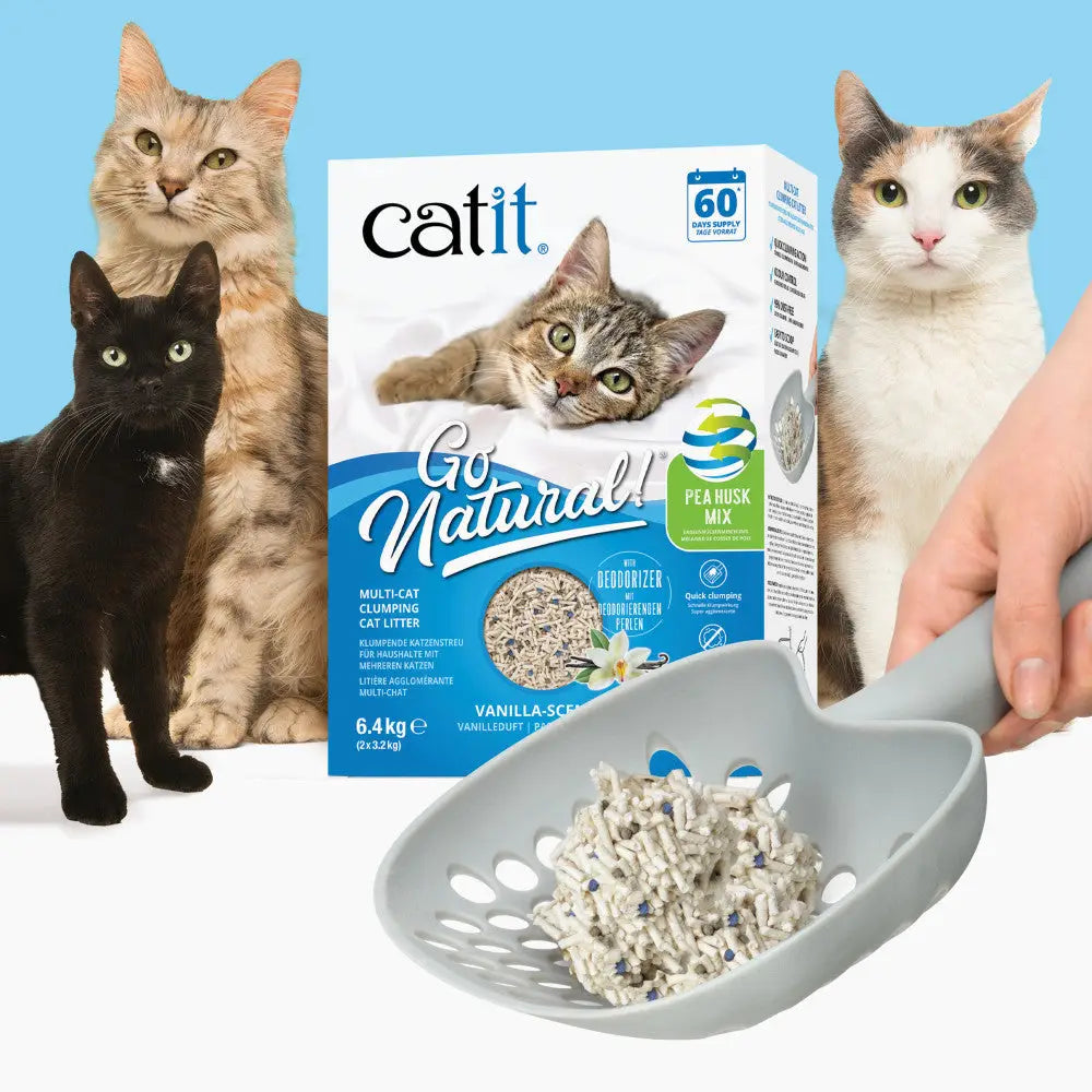 CATIT GO ARENA NATURAL BENTO GUISANTE VAINILLA 6,4KG