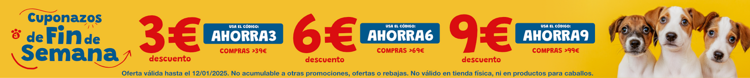 Promoción