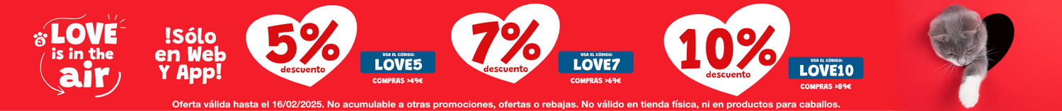 Promoción