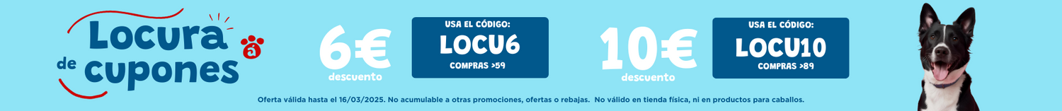 Promoción