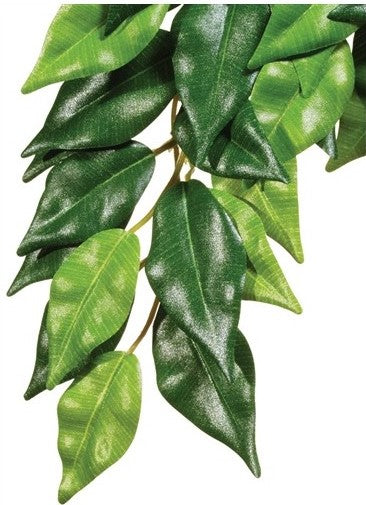 PLANTA TERRARIO SEDA FICUS GRANDE EXO TERRA