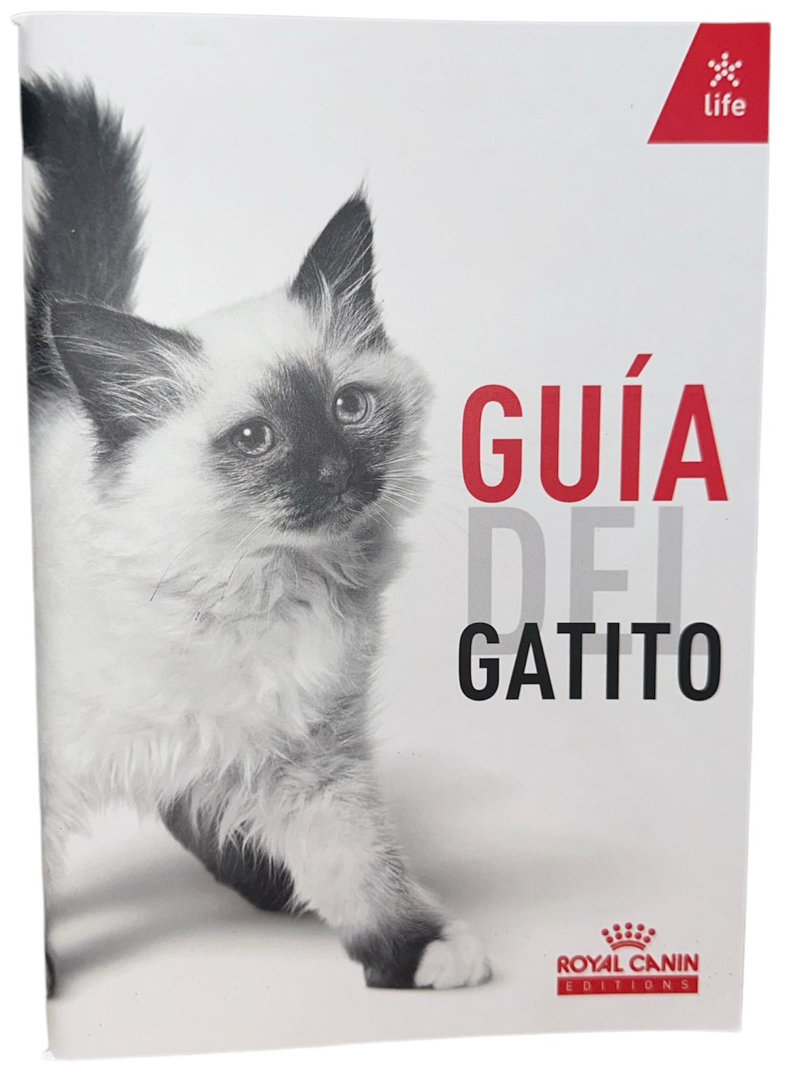 Guía del gatito