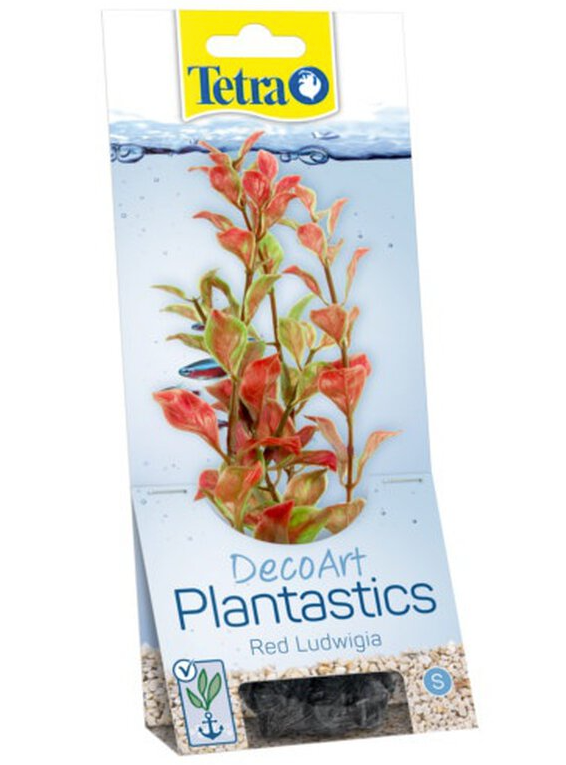 Tetra Planta Acuario