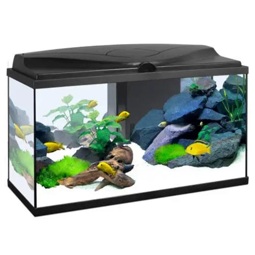 Acuario Aqua 80 Light Blanco Ciano 80X30X41,5Cm 71L.