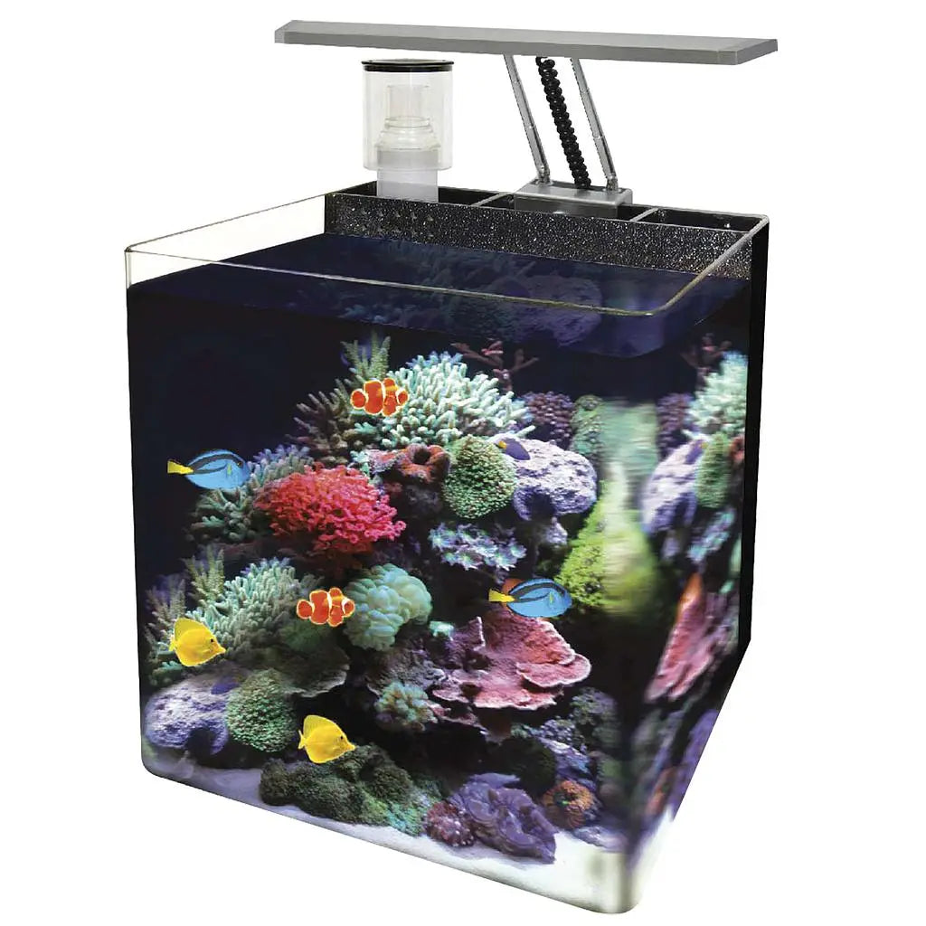 Acuario Kit Nano Marino Negro 63 44X36X40Cm - Mejor Precio - Mascotas Ávila