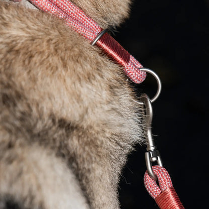 Collar Craft Round Recycled Freedog