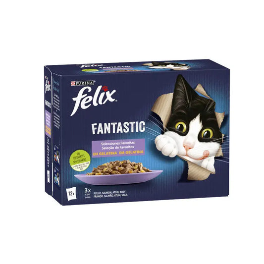 Felix Fantastic Surtido Gelatina Pack 12X85G