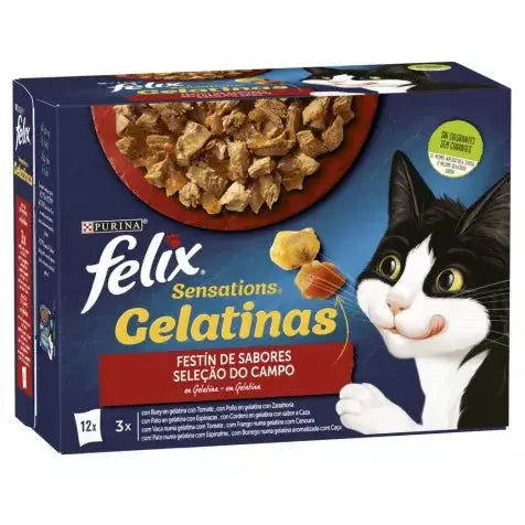 Felix Sensations Carnes Gelatina Pack 12X85G