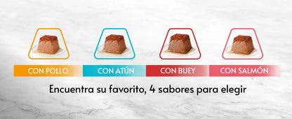 Gourmet Revelations Mousse Salmón&Atún Pack 48X57G