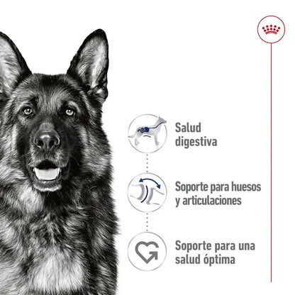 Royal Canin Maxi Adult 410gr lata perro húmedo