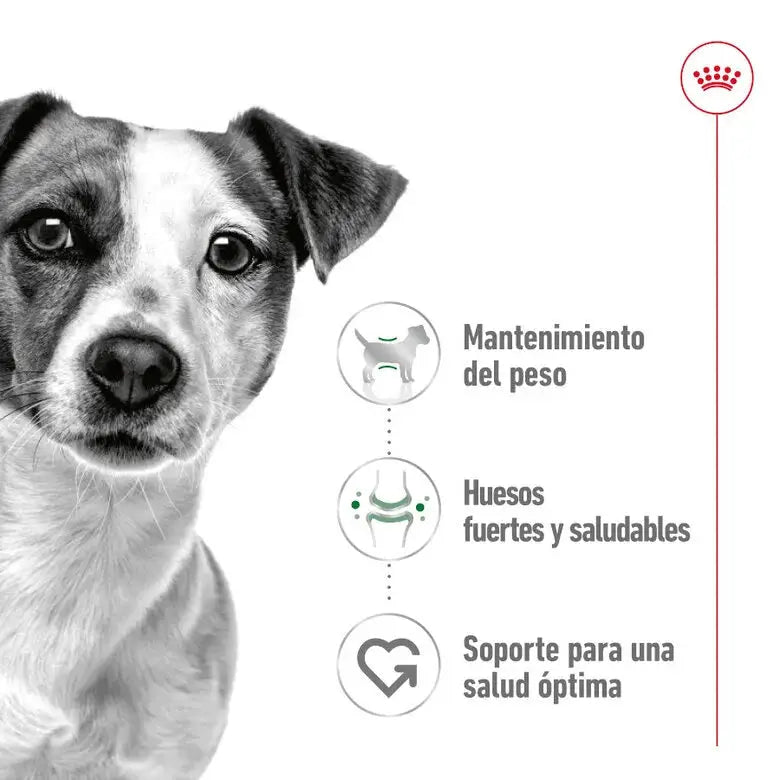 Royal Canin Mini Adult 195gr lata perro húmedo