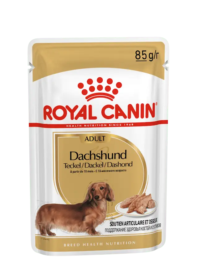 Royal Canin Teckel Dachshund 85Gr Humedo