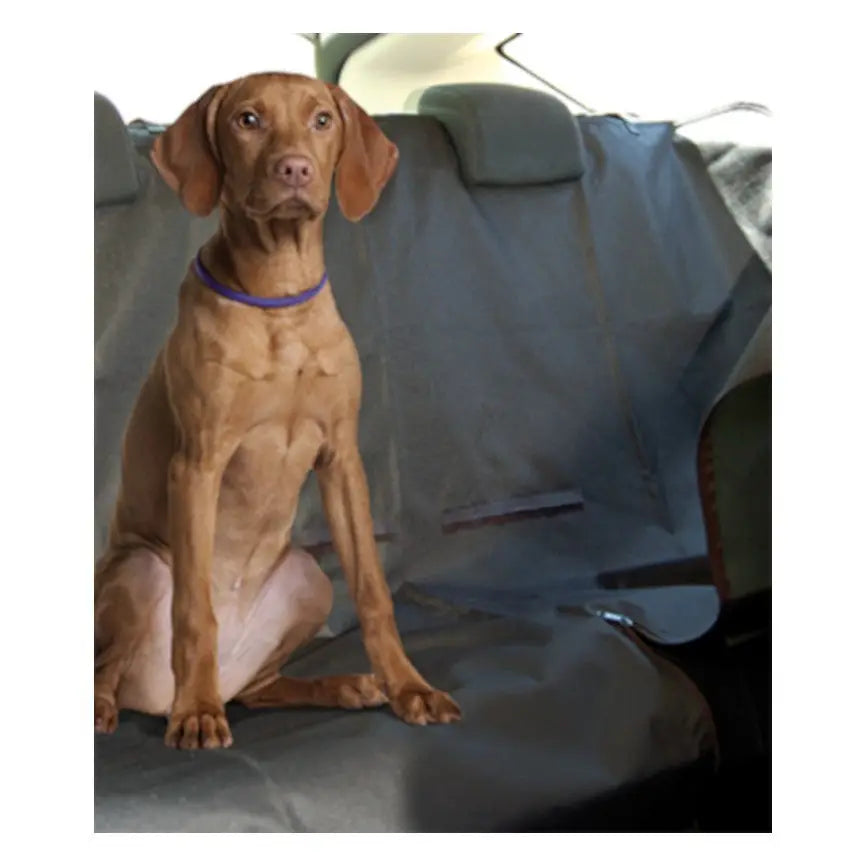 Funda Protectora Asientos Coche 150x145cm Freedog