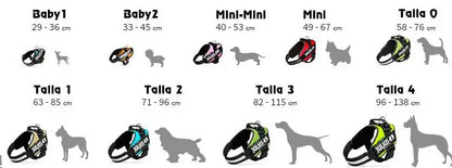 ARNES IDC JULIUS-K9 BABY 1 VAQUERO NEON 29-36cm.